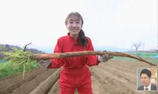 長さにビックリ!甘さにニッコリ!山梨「大塚にんじん」が収穫最盛期