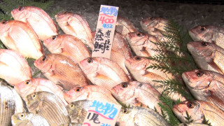 激安鮮魚市場「魚太郎」。産地直送の美味しい食材でバーベキューもできちゃう!鮮度と安さの秘密は?