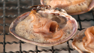 食欲の秋「肉VS魚」あなたはどっち派?とろける食感レアハンバーグVS 鮮度抜群の浜焼きバーベキュー&回転寿司