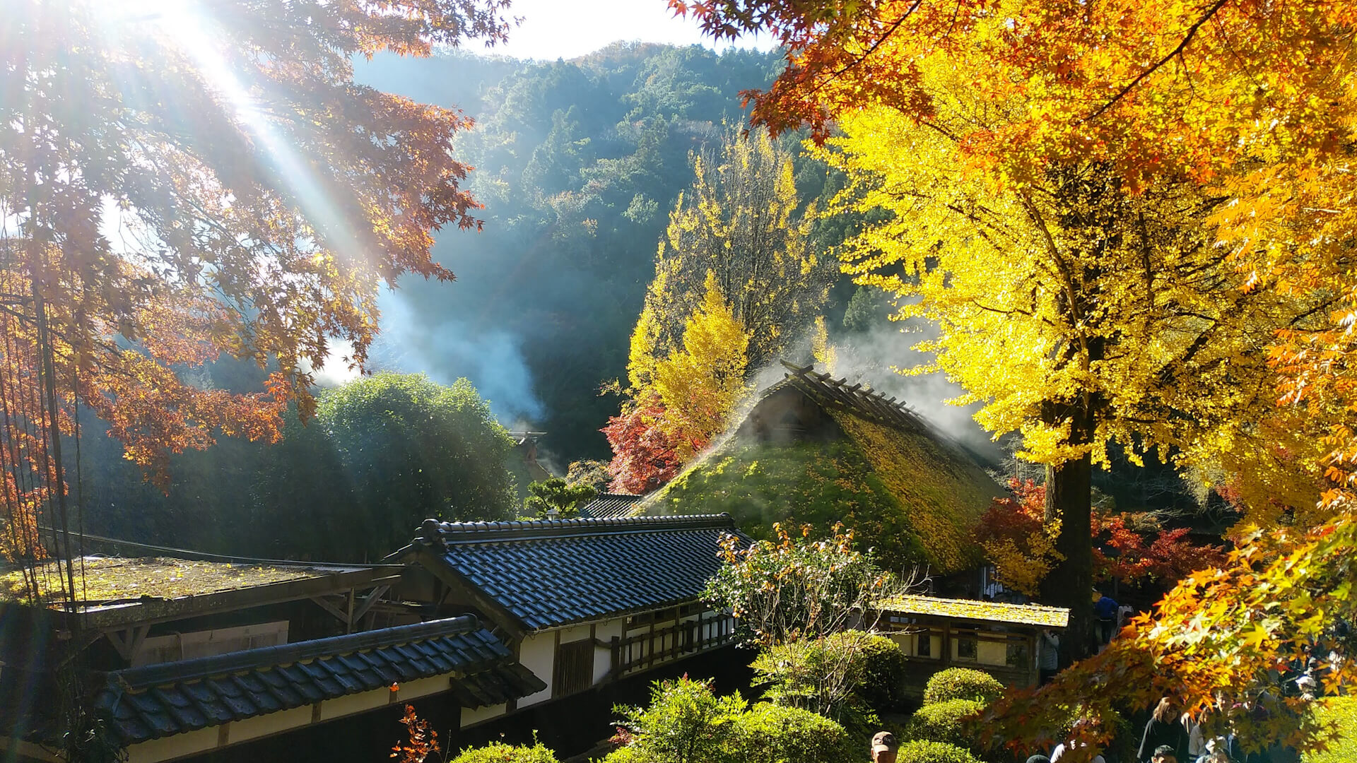 東海3県の人気紅葉スポットを調査!1位は55万人が訪れた愛知・豊田市の「香嵐渓」!地元民オススメ“紅葉グルメ”も見逃せない