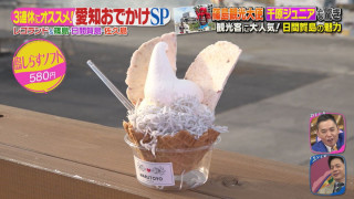 シラスがまさかのスイーツに！？1度は食べてみたい「島しらすソフト」とは？篠島・日間賀島・佐久島の魅力に迫る