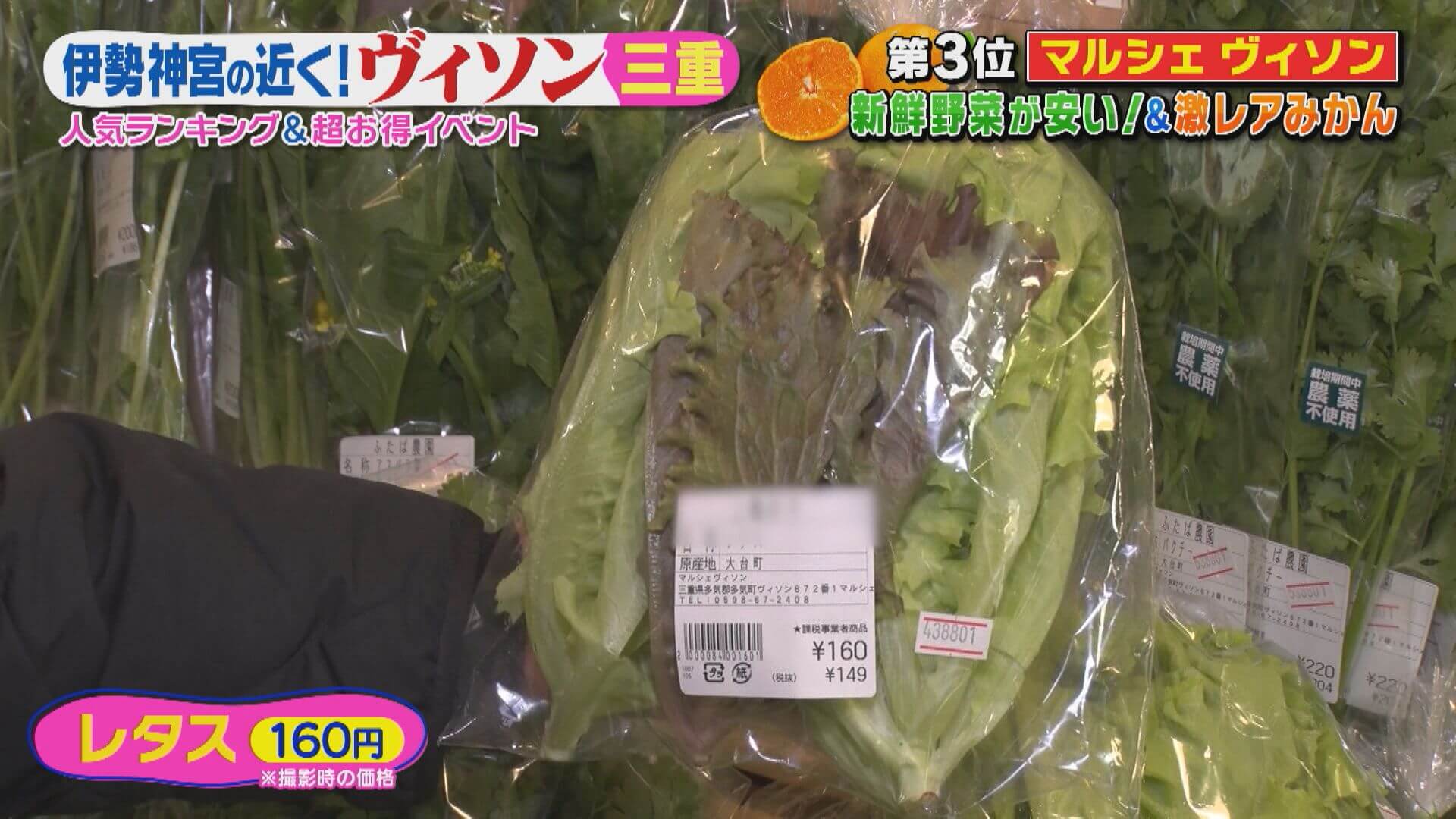 朝採りレタスが160円！？激安すぎる野菜の秘密は？「ヴィソン」の人気店を調査！