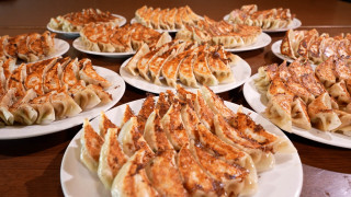 1皿100円！？1日で1000個以上売り上げる激安餃子とは？中京大生が選ぶ “コスパ最強めし”！