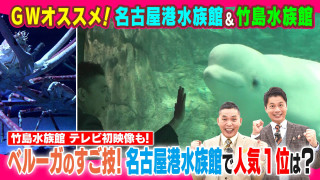 GWオススメ!名古屋港水族館&竹島水族館【太田×石井のデララバ】