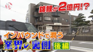 【後編】「カネに糸目はつけない!」海外富裕層のお目当ては2億円の錦鯉!?「コイに恋して」【CBCドキュメンタリー】
