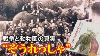 記録に残らなかった“戦争と動物園”の史実‥絵本「ぞうれっしゃ」が伝える戦時中の真実とは！？