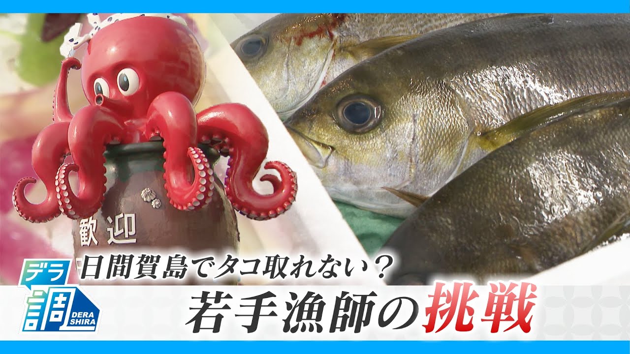 名物のタコが取れない？海水温上昇で｢死活問題｣に…21歳の漁師が仕掛けるブランド化戦略