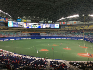 広島カープの若き打線がうらやましい！後半戦ドラゴンズ本拠地ドーム観戦記