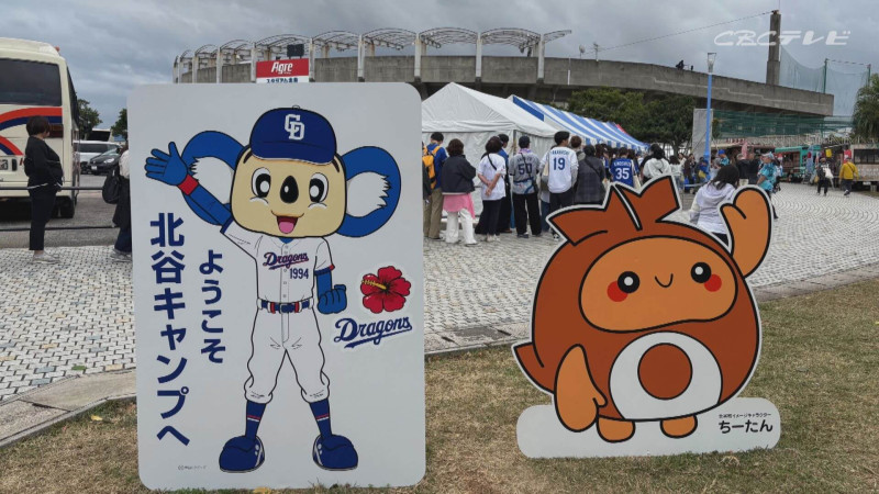 竜党は沖縄で熱く燃える！ドラゴンズ春季キャンプ地で見たこと聞いたこと