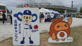 竜党は沖縄で熱く燃える！ドラゴンズ春季キャンプ地で見たこと聞いたこと