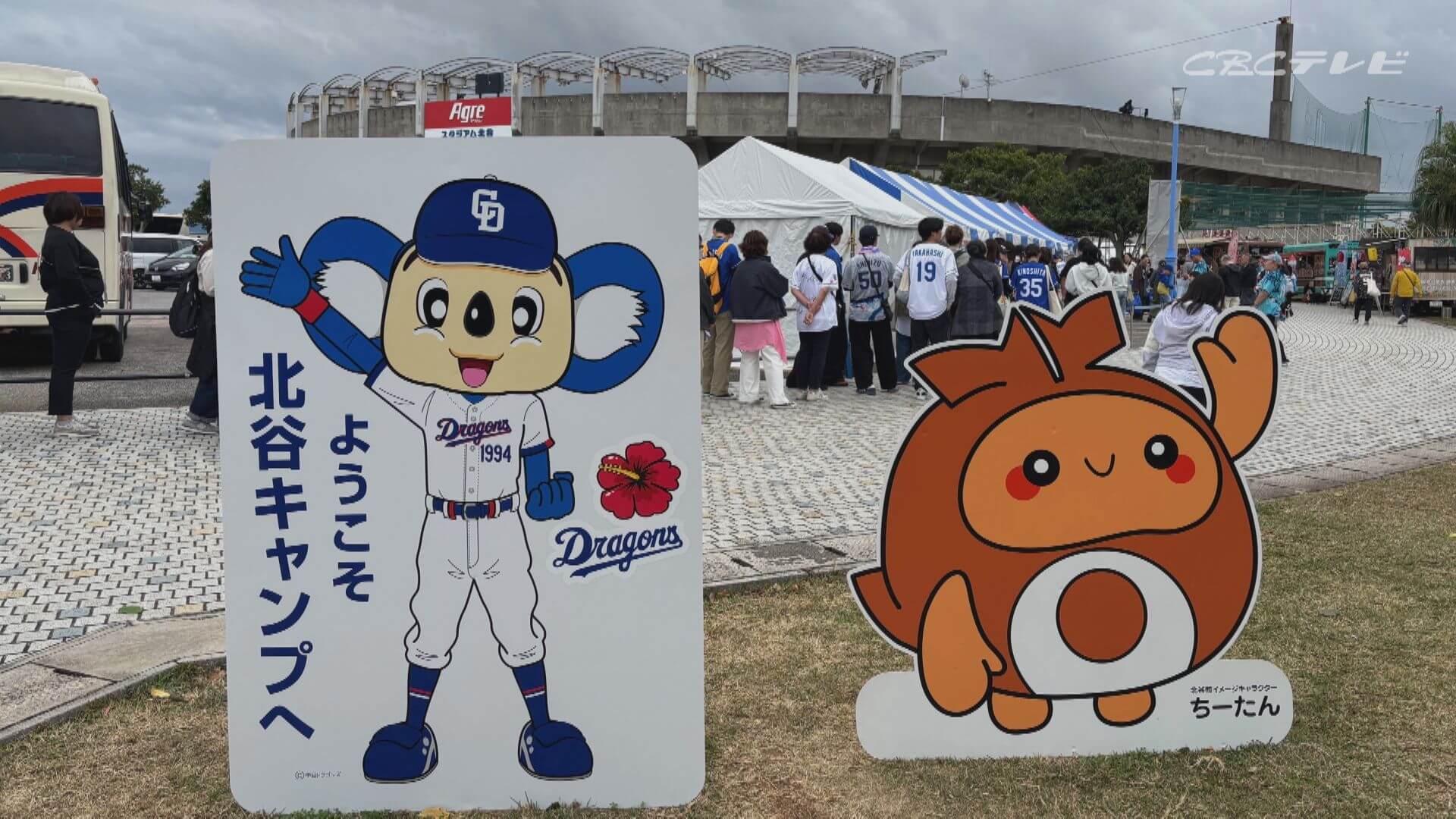 竜党は沖縄で熱く燃える！ドラゴンズ春季キャンプ地で見たこと聞いたこと