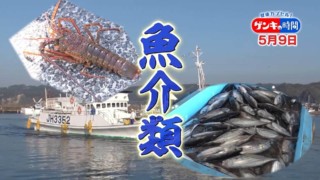 海の恵み 魚介類