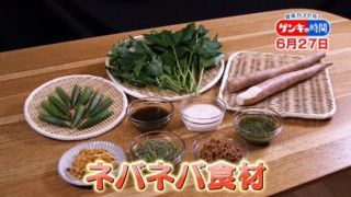 夏にオススメのネバネバ食材