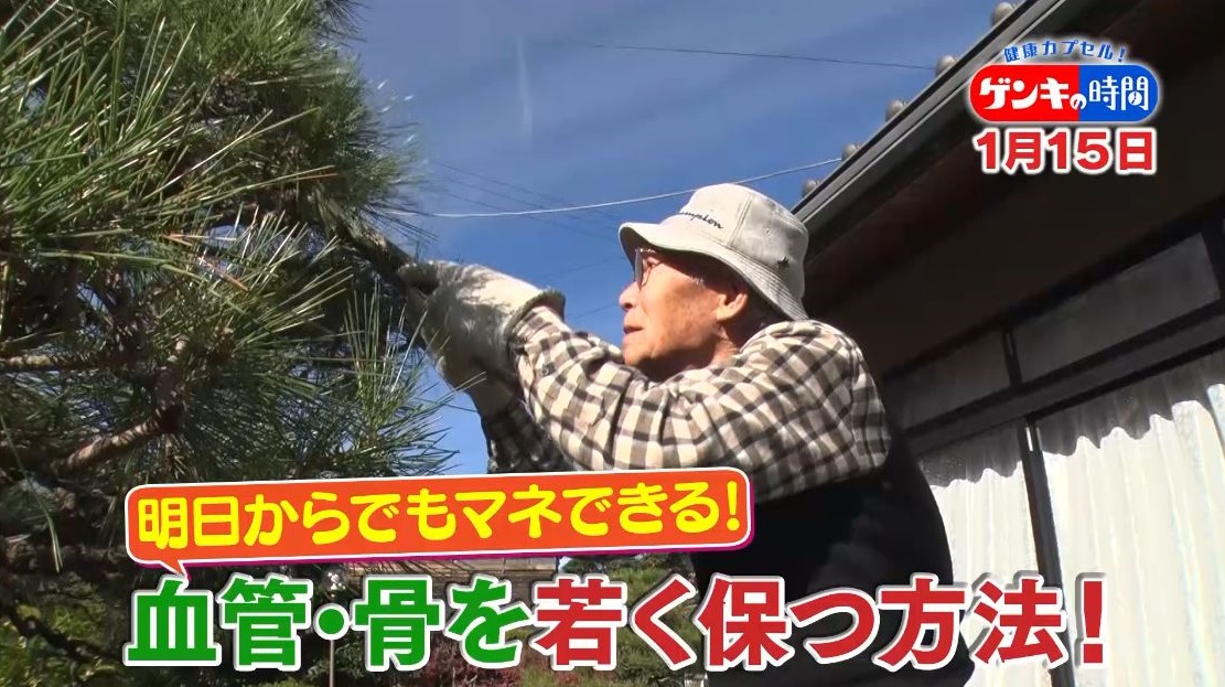 長寿につながる共通点を発見…マネしたい“健康長寿の秘訣”！血管・骨を若く保つ方法