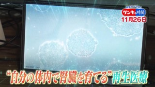 体内で「腎臓」を育てる！？再生医療の最先端...「eGFR」ってなに？腎臓病の真実