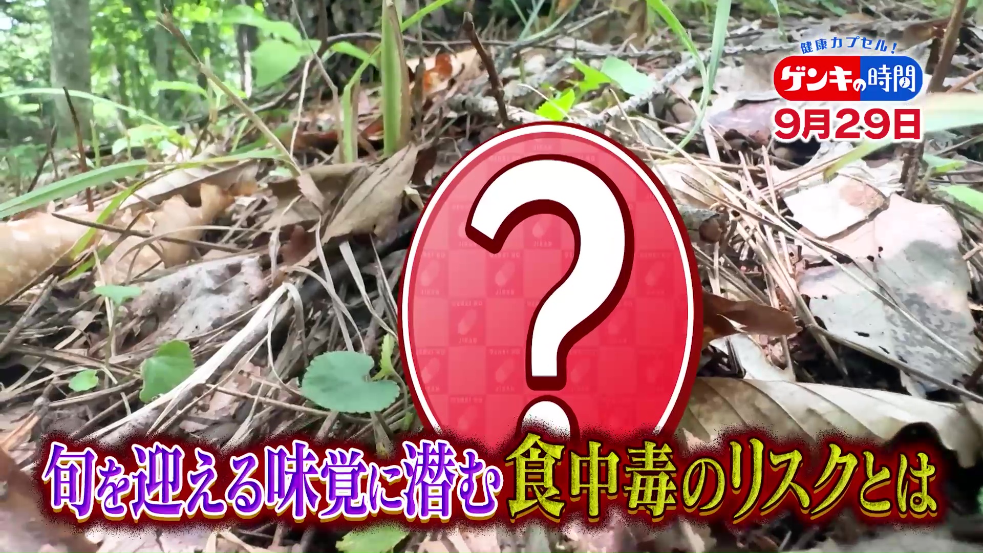「食中毒」市販のキノコも要注意!…秋に食中毒が多い3つの理由と予防のポイント