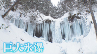 まるで氷の宮殿！自然が作り出す大迫力の“巨大氷瀑”！？気象予報士激推しの“冬の絶景スポット”とは