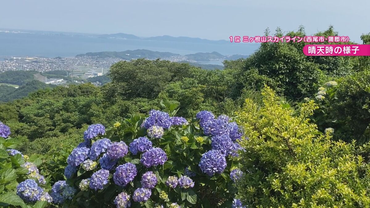 約7万本のあじさいが楽しめる!?幻想的なホタルの乱舞も 気象予報士激推しの“梅雨の絶景スポット”とは