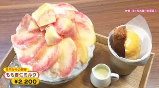 唯一無二の“ラタトゥイユかき氷”！？パンと一緒に食べる濃厚かき氷も 進化が止まらない名古屋の最新かき氷