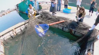 釣った魚が絶品“漁師めし”に！？愛犬と泊まれる一棟貸しヴィラも 三重県紀北町のオススメスポットとは