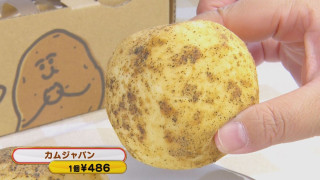 韓国で大ブーム「カムジャパン」の店が東海初上陸!斬新なネオ名古屋めしパンも!今食べるべき秋の新作パンとは
