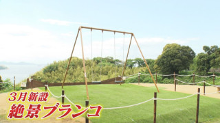 新緑を満喫できる“絶景ブランコ”！？毎日クリスマス気分になれるツリーハウスも…東海の最新“絶景スポット”とは