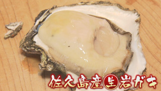 特大サイズの“岩ガキ”食べ比べ!海が見えるかき氷カフェも 愛知・西尾市のオススメスポットをご紹介