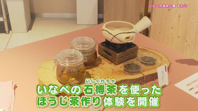 CBCテレビ『花咲かタイムズ』