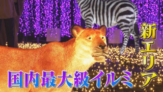 新エリアが登場!点灯時しか見られない超レアな光の演出も 「なばなの里イルミネーション」が開幕!