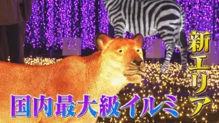 新エリアが登場！点灯時しか見られない超レアな光の演出も　「なばなの里イルミネーション」が開幕！