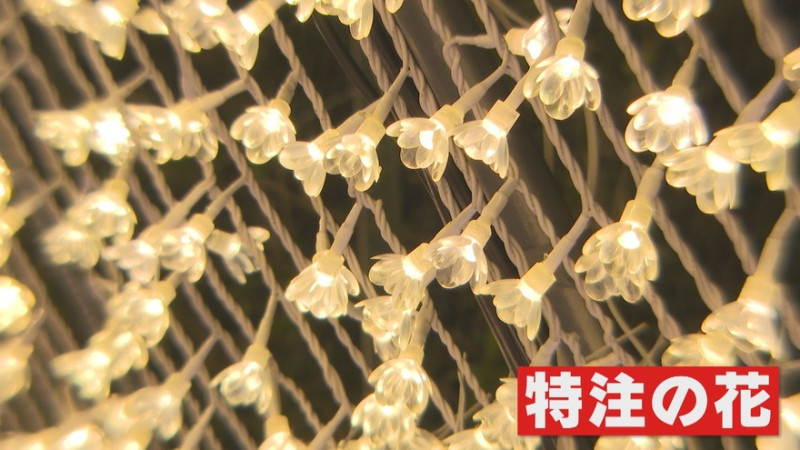 CBCテレビ『花咲かタイムズ』