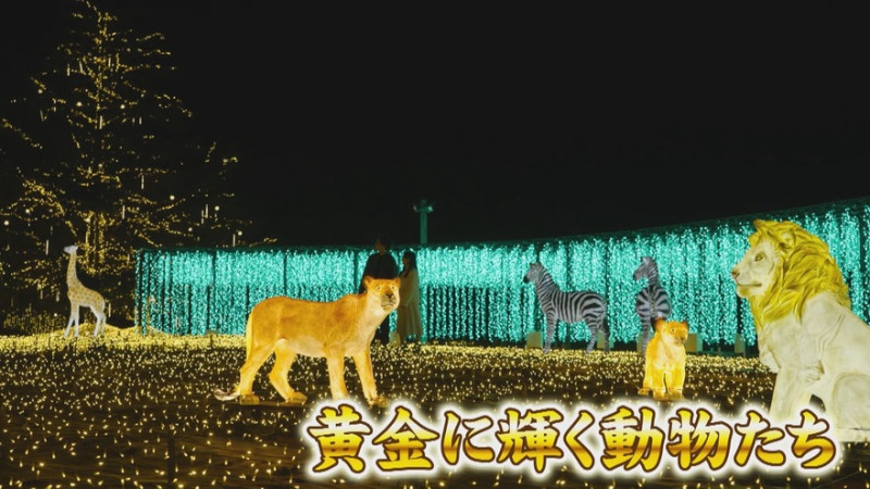 CBCテレビ『花咲かタイムズ』