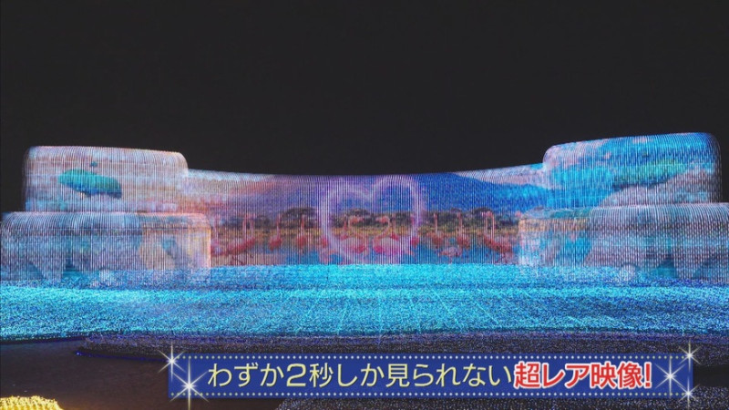 CBCテレビ『花咲かタイムズ』