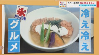 年間3000万食売れるカレーの冷やしバージョンが登場！今年は冷え冷えグルメがアツい！