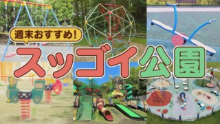 日本で唯一！入園料無料でゾウが見られる動物園！お金を使わず楽しめるコスパ最強スポット