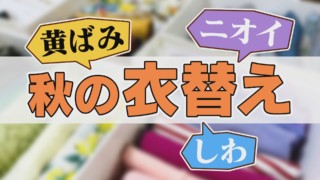 秋の衣替えで、「黄ばみ」「しわ」をつくらずに夏服を収納する方法　服は重ねるのではなく立てる！？