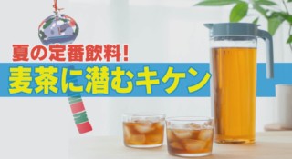 麦茶は菌が増えやすい！？食中毒の危険も！？煮出し麦茶よりも水出し麦茶の方が菌が増えにくい！？