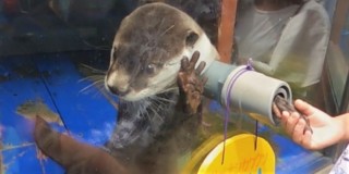 雨の日は「牧歌の里」の入園料がタダ！？雨でもお出かけしたくなる　お得なサービス満載のウキウキスポットをご紹介