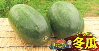 冬瓜の旬は冬じゃない！？ 今が旬の夏野菜・冬瓜の選び方と食べ方を解説