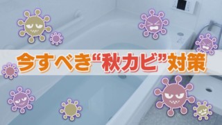 秋こそカビ対策が重要！？夏の暑さを乗り越えた頑固な“秋カビ”に要注意！発生する原因や予防法をご紹介