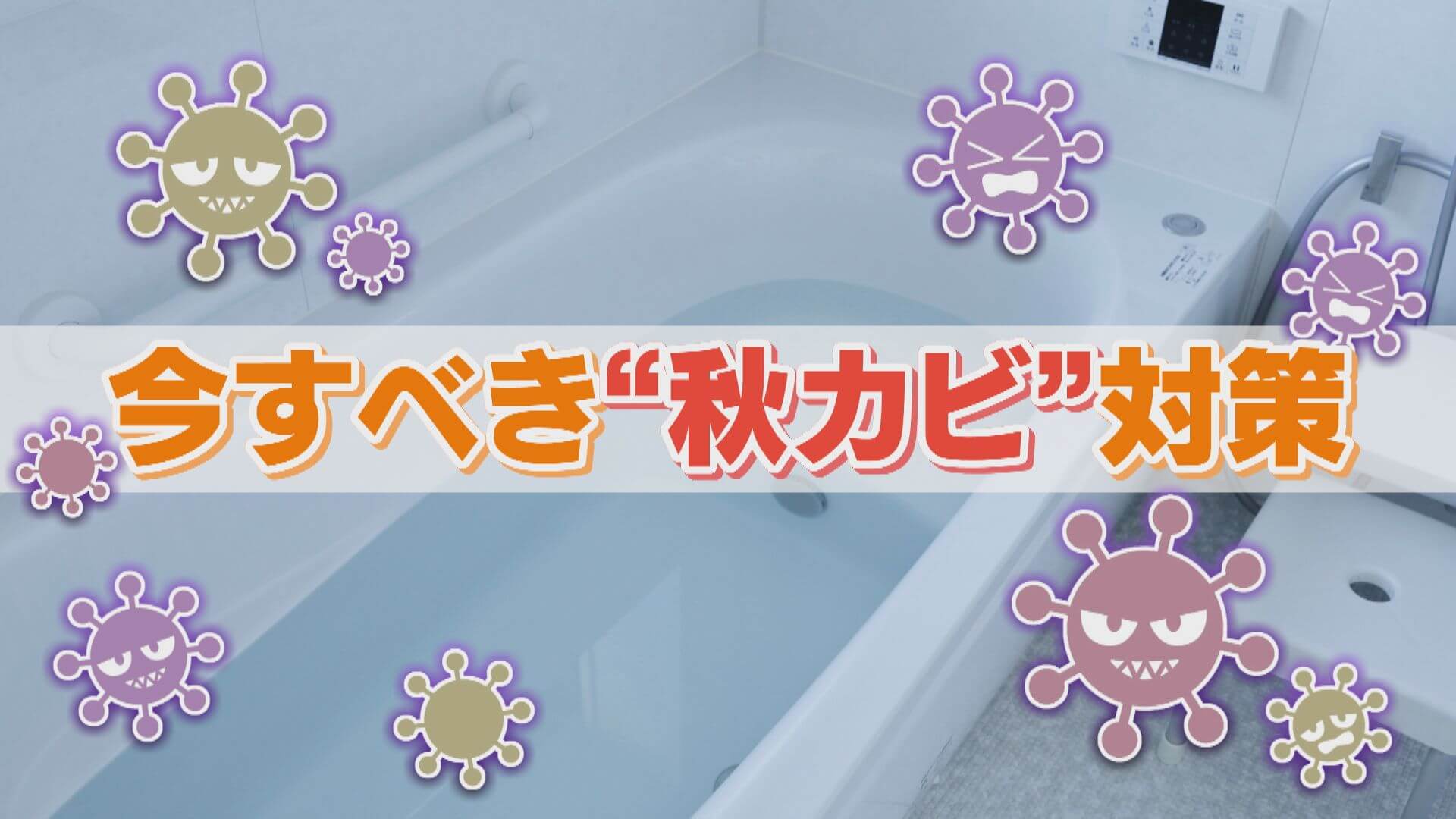 秋こそカビ対策が重要!?夏の暑さを乗り越えた頑固な“秋カビ”に要注意!発生する原因や予防法をご紹介
