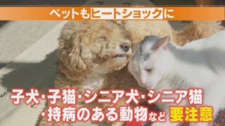 誰もが起こり得る！？温度差で引き起こる「ヒートショック」とは？専門家が入浴時の4つの対策を紹介！