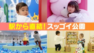 砂場からフォトスタジオまで！ 視聴者さん御用達の室内公園【子どもの笑顔WEEK】