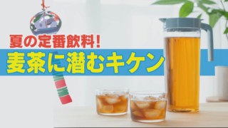 【麦茶】に潜むキケン！？夏の定番飲料に起こる食中毒＆家庭崩壊！？【くらしエンタメ】