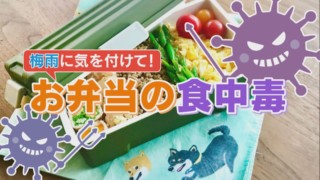 6月は「お弁当の食中毒」に要注意!意外なNG食材とは?【くらしエンタメ】