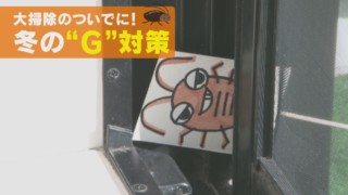 冬こそチャンス！大掃除と一緒に”G”対策を！【家事お役立ちWEEK】