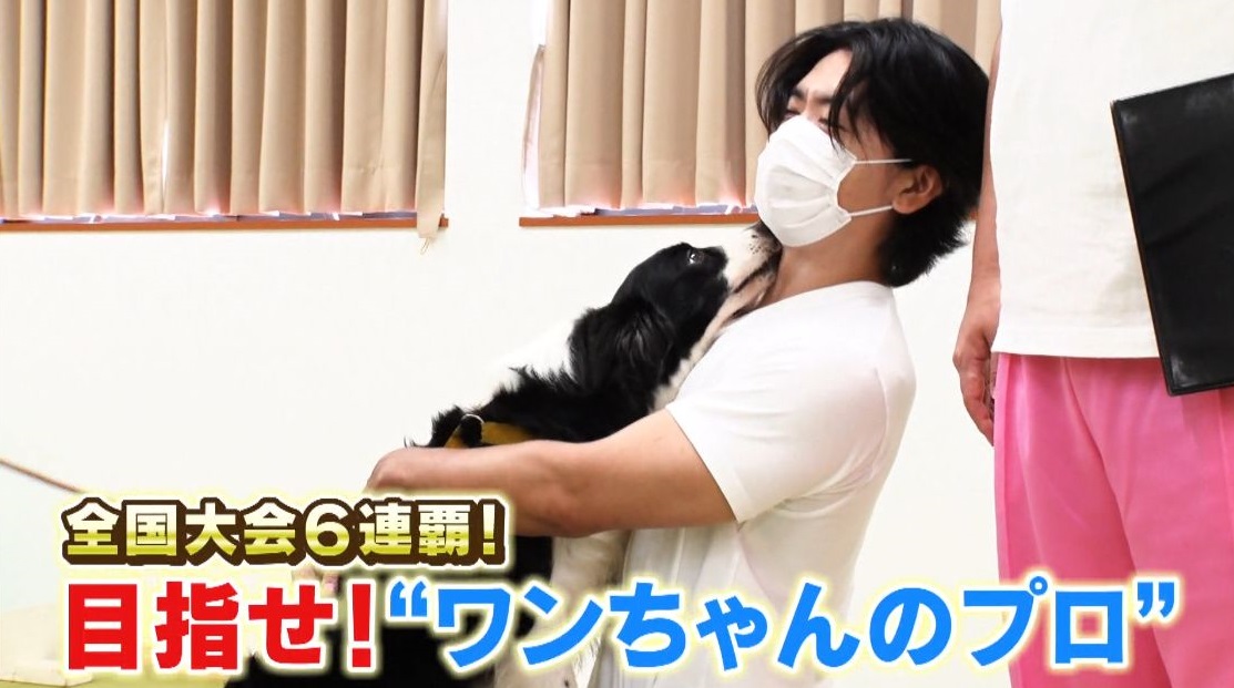 人の数だけ犬がいる! マヂラブがドックトレーナー体験!全国大会6連覇中の『愛知ペット専門学校』