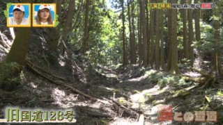 道マニア厳選の「廃道」とは 地図から消えた旧国道を目指す
