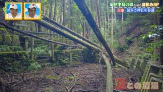 森の中に眠る神社　険しい参道を進むと倒壊した建物を発見…残された数々の謎