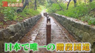 日本で唯一の「階段国道」！階段が国道に指定されたワケとは？